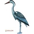 Teich Fischreiher gro� N