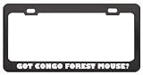 Got Congo Forest Mouse? Animals Pets Black Metal License Plate Frame Holder Border Tag