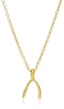Dogeared Breast Cancer Find a Cure 14kt Gold Dipped Sterling Silver Wishbone Charm Necklace, 18