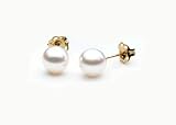 AAA Quality Round 5.5-6mm Akoya SaltWater cultured White Pearl Earrings with 14K Yellow Gold Mount