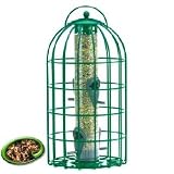 The Nuttery Squirrel and Predator Proof Original Seed Feeder Green