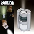 Datexx Sentina Smart Rechargeable LED Light