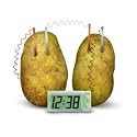 Great Gizmos Green Science Potato Clock