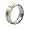 Titanium Ring - Sizes 8-12 (Gold Plated)