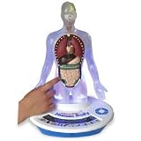 Interactive Light-Up 3-D Human Body