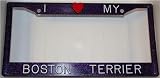 Purple Glitter I Love My Boston Terrier Frame