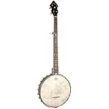 Recording King California Open Back Banjo