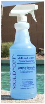 get rid of mold
