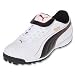 PUMA Esito XL TT Turf Soccer Shoes (White/Black/Pompeian Red)