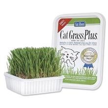 Cat Grass Plus by Gimborn
