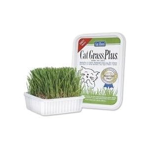 Cat Grass Plus by Gimborn