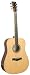 Recording King Contemporary Series II Dreadnought Acoustic Guitar, Solid Mahogany Back & Sides