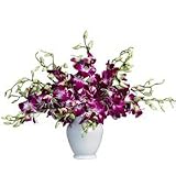 Flowers - Stylist