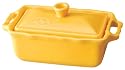 アポーリア テリーヌ イエロー AL21