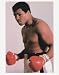 Muhammad Ali Unsigned 8x10 inch Boxing Photo