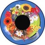 Flowers Effects Wheel for Solar Projectors