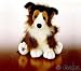 Webkinz Collie