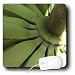 Florene Food And Beverage - Banana Carousel - Mouse Pads