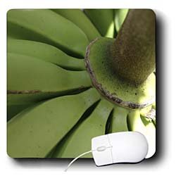 Florene Food And Beverage - Banana Carousel - Mouse Pads