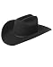 Country Black Cow Boy or Girl Stetson Felt Costume Hat