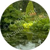 GARDEN POND Fridge Magenet