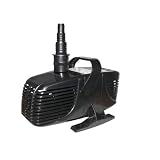 Water Pumps & Circulation