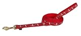 Fido Finery Lead - 3/4 in. x 6' - Red My Little Angel Pattern