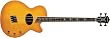 Washburn Signature Series AB40SHNK Acoustic-Electric Bass