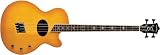 Washburn Signature Series AB40SHNK Acoustic - Electric Bass - B0029NYEGC