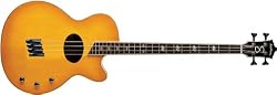 Washburn Signature Series AB40SHNK Acoustic-Electric Bass