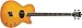 Washburn Signature Series AB40SHNK Acoustic-Electric Bass