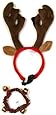 Outward Hound Kyjen  PP03372 Holiday Bell Collar/Antler Combo Pack Wearable Dog Holiday Pet Accessory, Small, Green