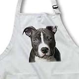 Dogs Pitbull - American Pit Bull Terrier Puppy - Aprons