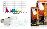 Exo Terra Repti-Glo 10.0 Desert Lamp 26W