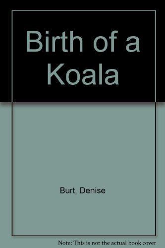 Birth of a Koala