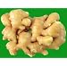 Ginger Fresh 14 Oz