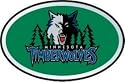 Minnesota Timberwolves Color Auto Emblem