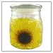 Sunflower Gel Candle - 16 ozs