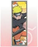 NARUTO����������һ�������A���ʥ��