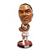 Derrick Rose Chicago Bulls NBA Big Head Bobble