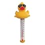 Derby Duck Swimming Pool Thermometer