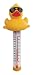Derby Duck Swimming Pool Thermometer