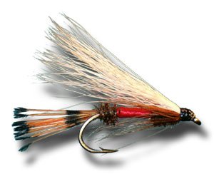 Royal Coachman Streamer Fly Fishing Fly