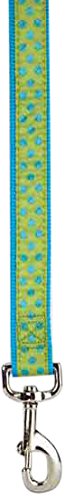 East Side Collection Nylon Polka Dot Dog Lead, 4-Feet, Parrot Green