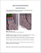Winter Socks - Men's Thick Winter Socks Knitting Pattern