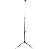 Mic Stand and Bonus 10' USB Extension Cable