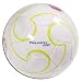 Sporting Goods : Brine Triumph Turf/Indoor Soccer Ball