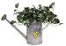 Watering Can is versatile, use it to water the plants as a planter itself. It is 13 3/4IN tall including the handle, 14IN long spout with a brass sprinkler head. Holds 1.5 gallons.