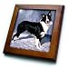 Dogs Border Collie - Border Collie - Framed Tiles
