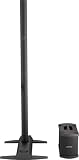 Bose L1 Model II System